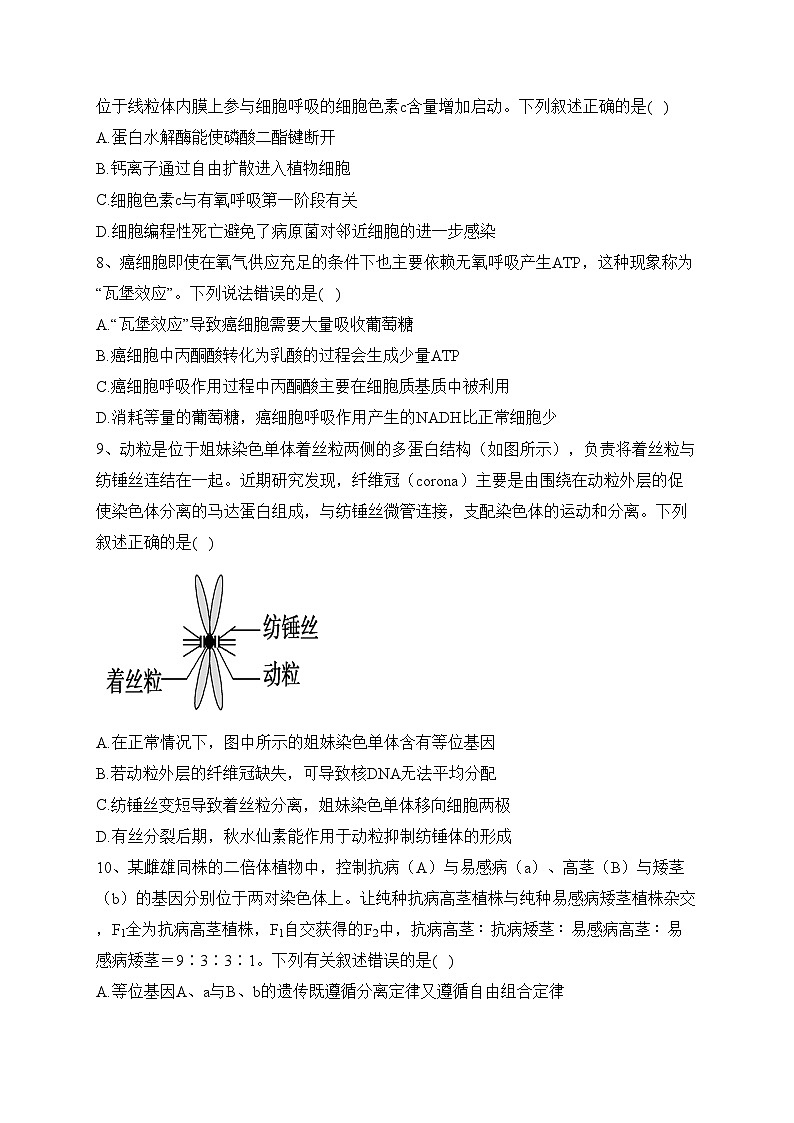 西安市长安区第一中学2024届高三上学期第三次教学质量检测生物试卷(含答案)03