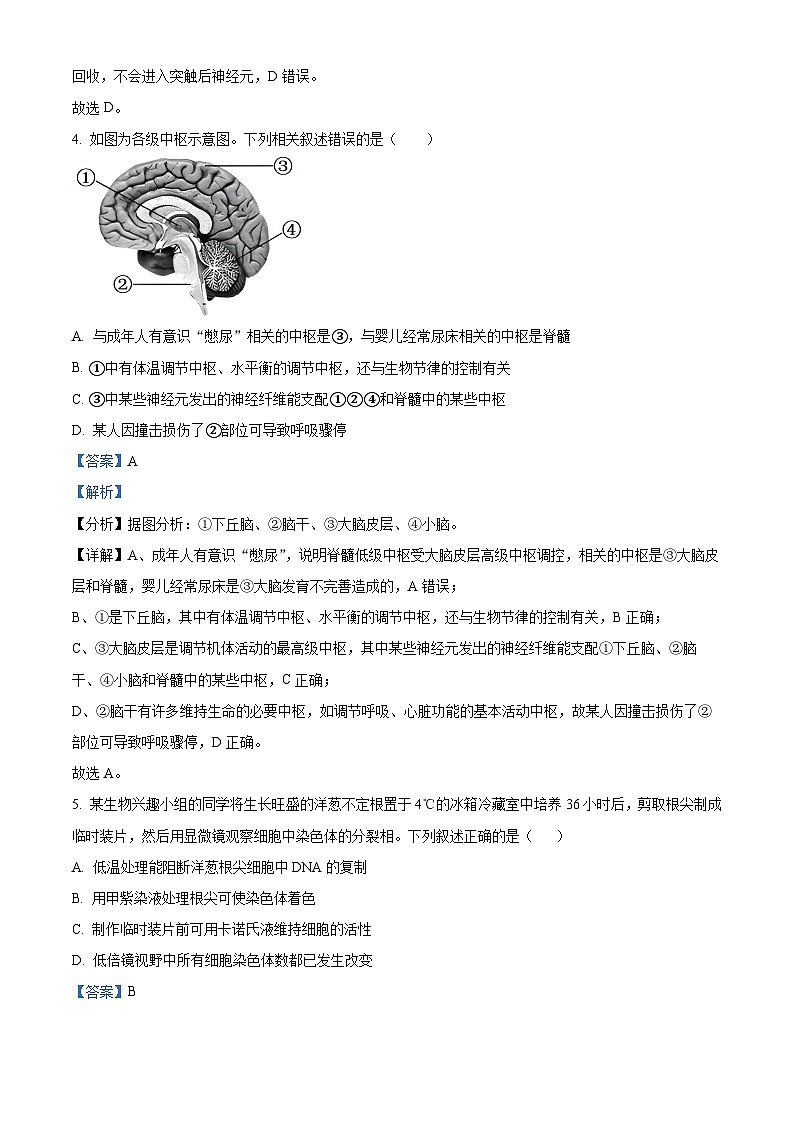 安徽省安庆市桐城中学2023-2024学年高二上学期第二次生物试题（Word版附解析）03