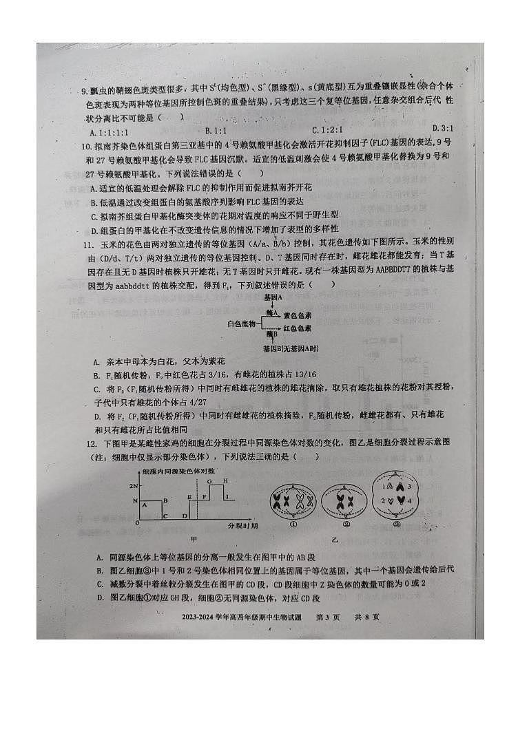 河北省衡水市武邑县河北武邑中学2023-2024学年高三上学期12月期中生物试题03