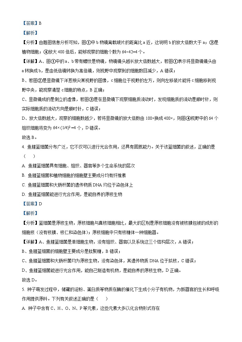 安徽省池州市贵池区2023-2024学年高一上学期期中生物试题（Word版附解析）03