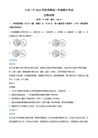 安徽省六安市一中2023-2024学年高一上学期期中生物试题（Word版附解析）