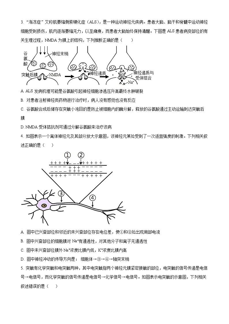 河南省开封市五县联考2023-2024学年高二上学期期中生物试题（Word版附解析）02