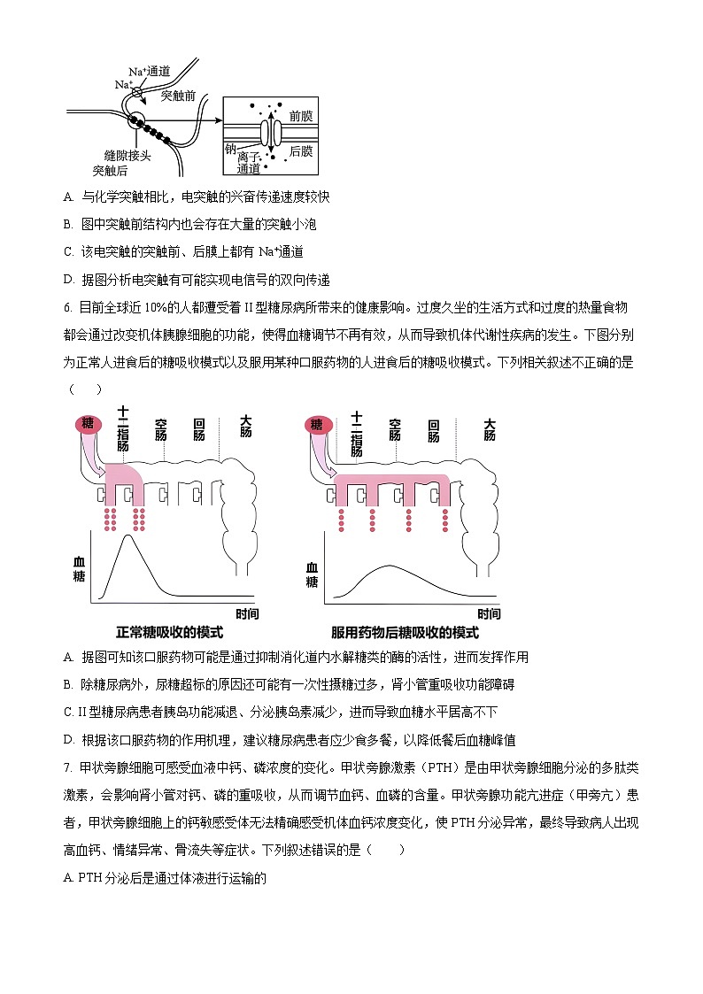 河南省开封市五县联考2023-2024学年高二上学期期中生物试题（Word版附解析）03
