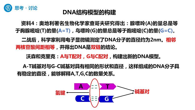 人教版高中生物必修二3.2DNA的结构 课件+同步分层练习（含答案解析）07