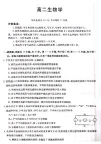 广东省佛山市顺德区勒流中学、均安中学、龙江中学等十五校2023-2024学年高二上学期12月联考生物试题（PDF版附答案）