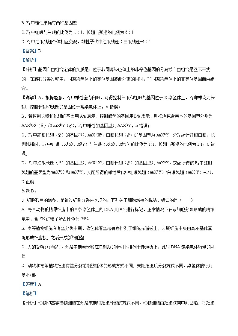 安徽省合肥市四中2023-2024学年高三11月月考生物试题（Word版附解析）02