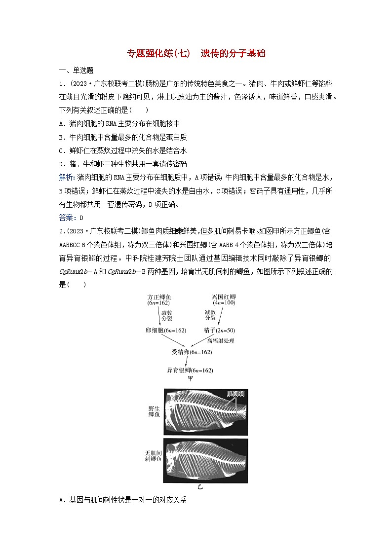 2024届高考生物二轮专题复习与测试专题强化练七遗传的分子基础第1页