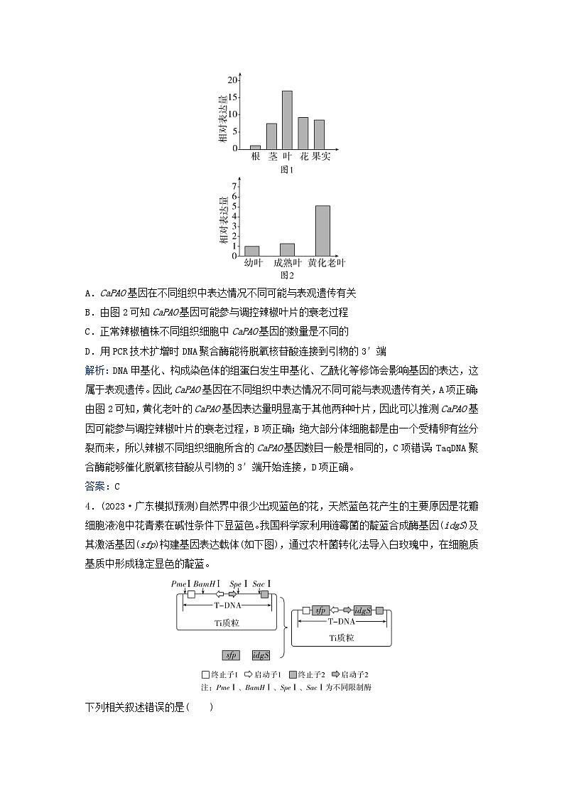 2024届高考生物二轮专题复习与测试专题强化练十七基因工程第2页