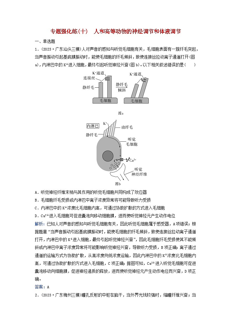 2024届高考生物二轮专题复习与测试专题强化练十人和高等动物的神经调节和体液调节第1页