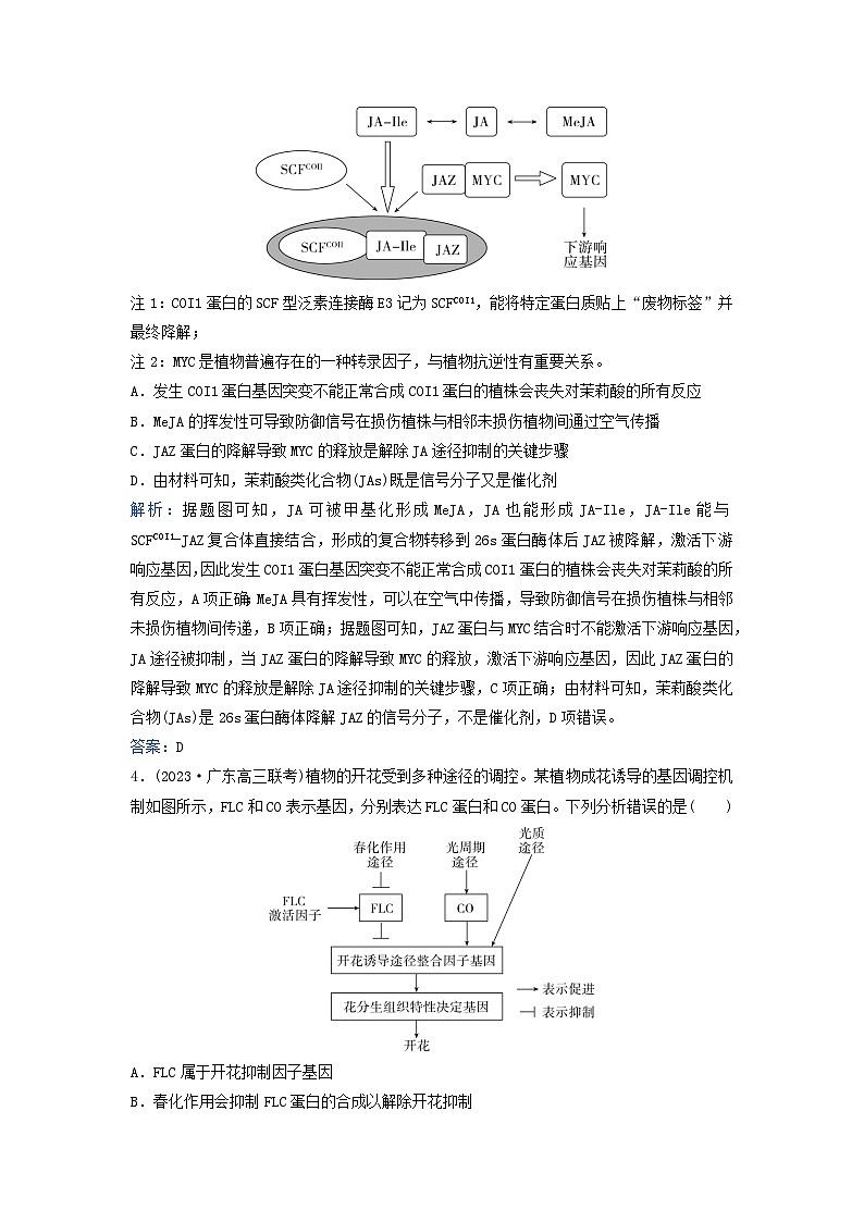 2024届高考生物二轮专题复习与测试专题强化练十一植物的激素调节第3页