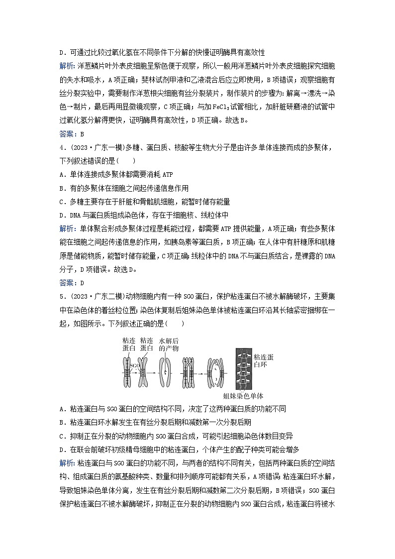 2024届高考生物二轮专题复习与测试专题强化练一细胞的分子组成第2页