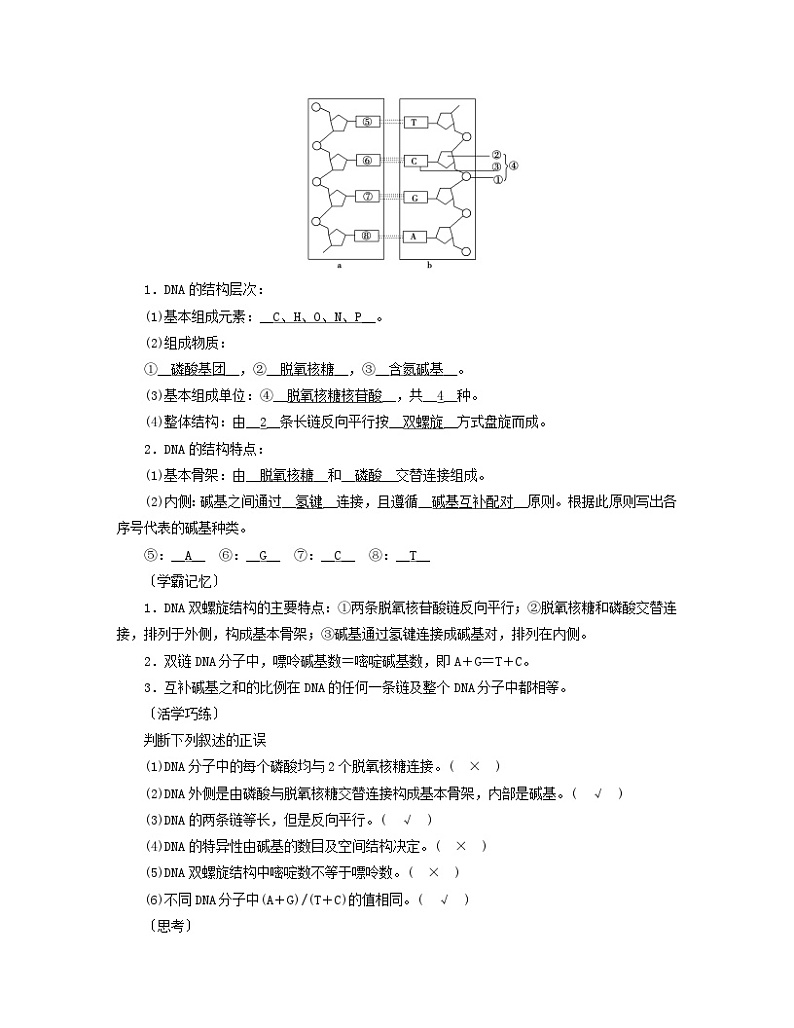 新教材2023年高中生物第3章基因的本质第2节DNA的结构学案新人教版必修2第2页