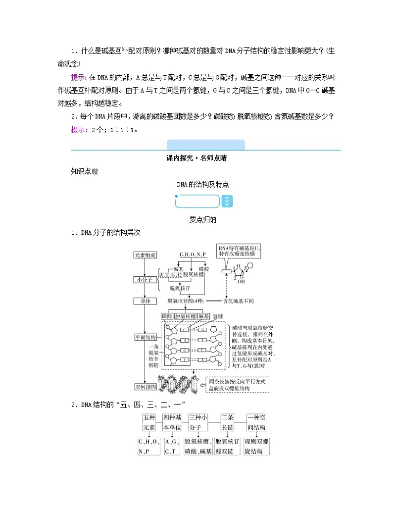 新教材2023年高中生物第3章基因的本质第2节DNA的结构学案新人教版必修2第3页