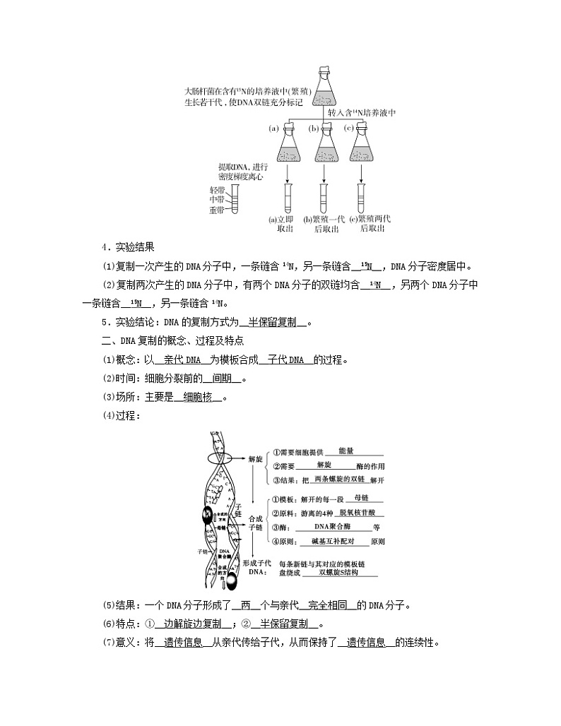 新教材2023年高中生物第3章基因的本质第3节DNA的复制第4节DNA的复制学案新人教版必修202