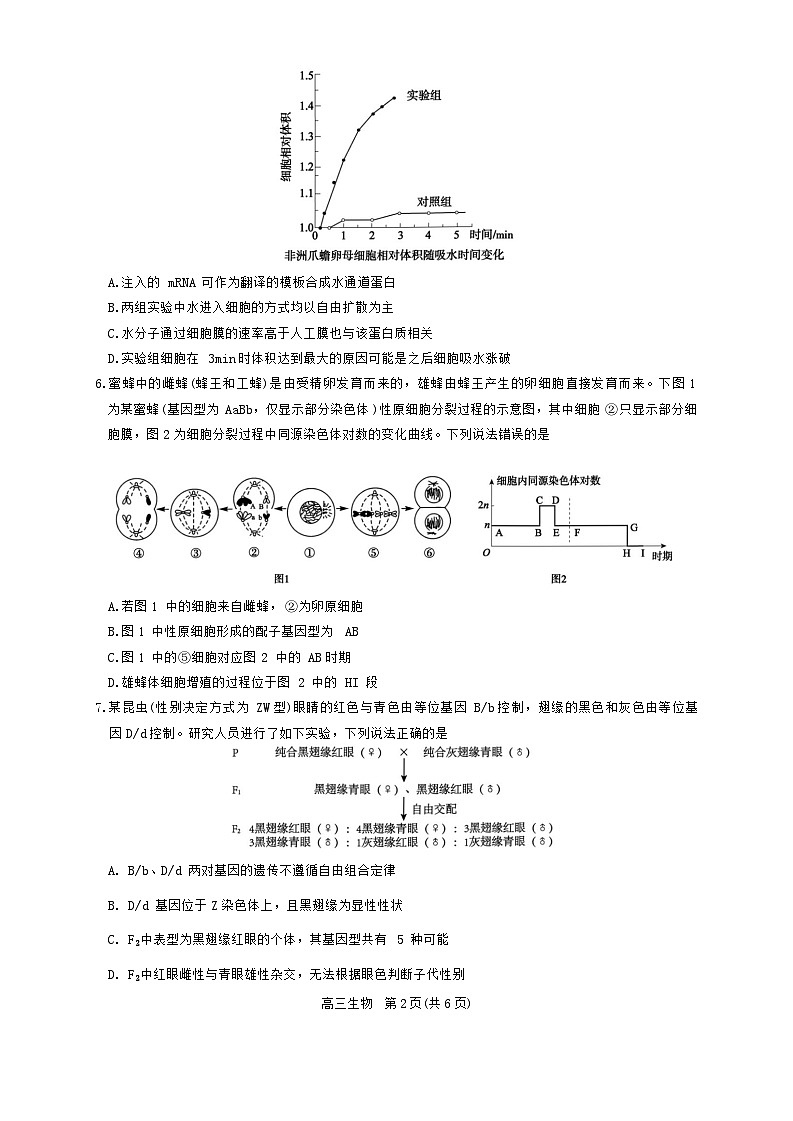 2024安徽省名校联盟高三上学期实验班12月大联考试题生物含解析02