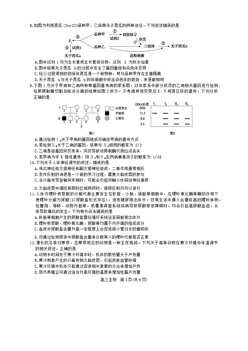 2024安徽省名校联盟高三上学期实验班12月大联考试题生物含解析03