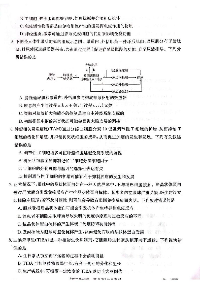 2024佛山顺德区勒流中学、均安中学、龙江中学等十五校高二上学期12月联考试题生物PDF版含答案02