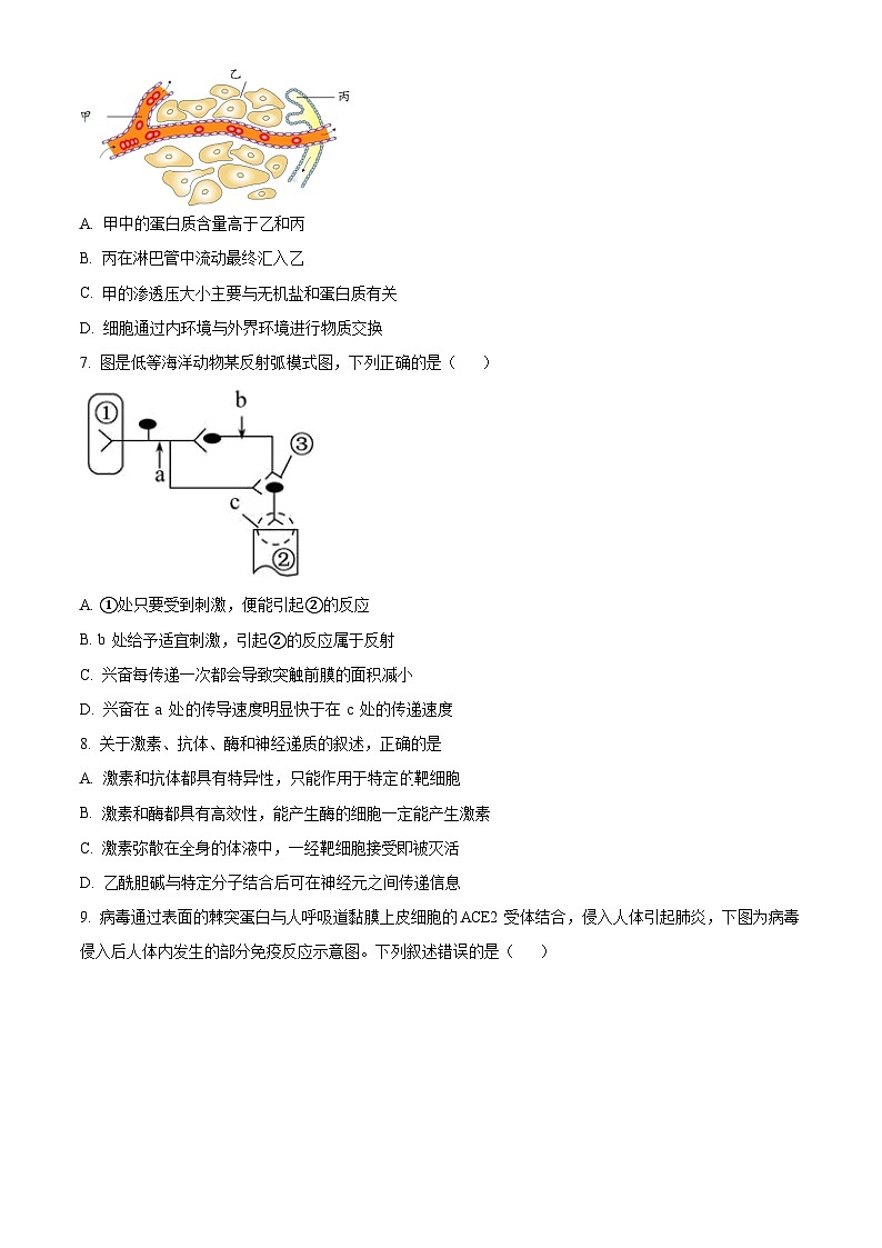 2024重庆市乌江新高考协作体高二上学期期中学业质量联合调研抽测试题生物含解析02