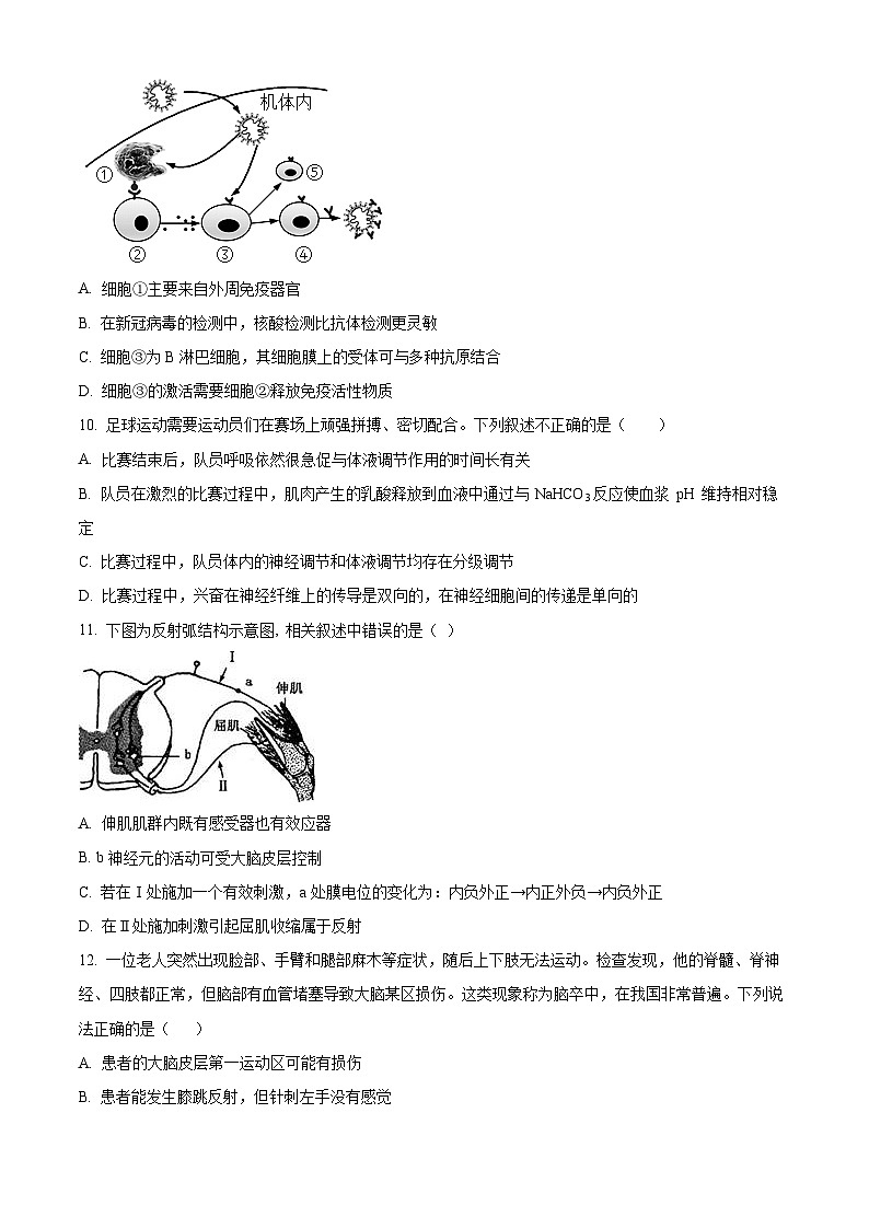 2024重庆市乌江新高考协作体高二上学期期中学业质量联合调研抽测试题生物含解析03
