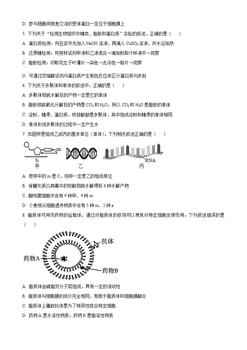 2024山东省实验中学高一上学期期中考试生物含解析02