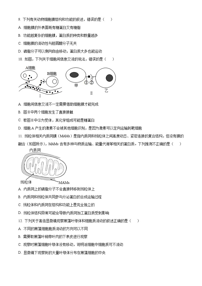 2024山东省实验中学高一上学期期中考试生物含解析03