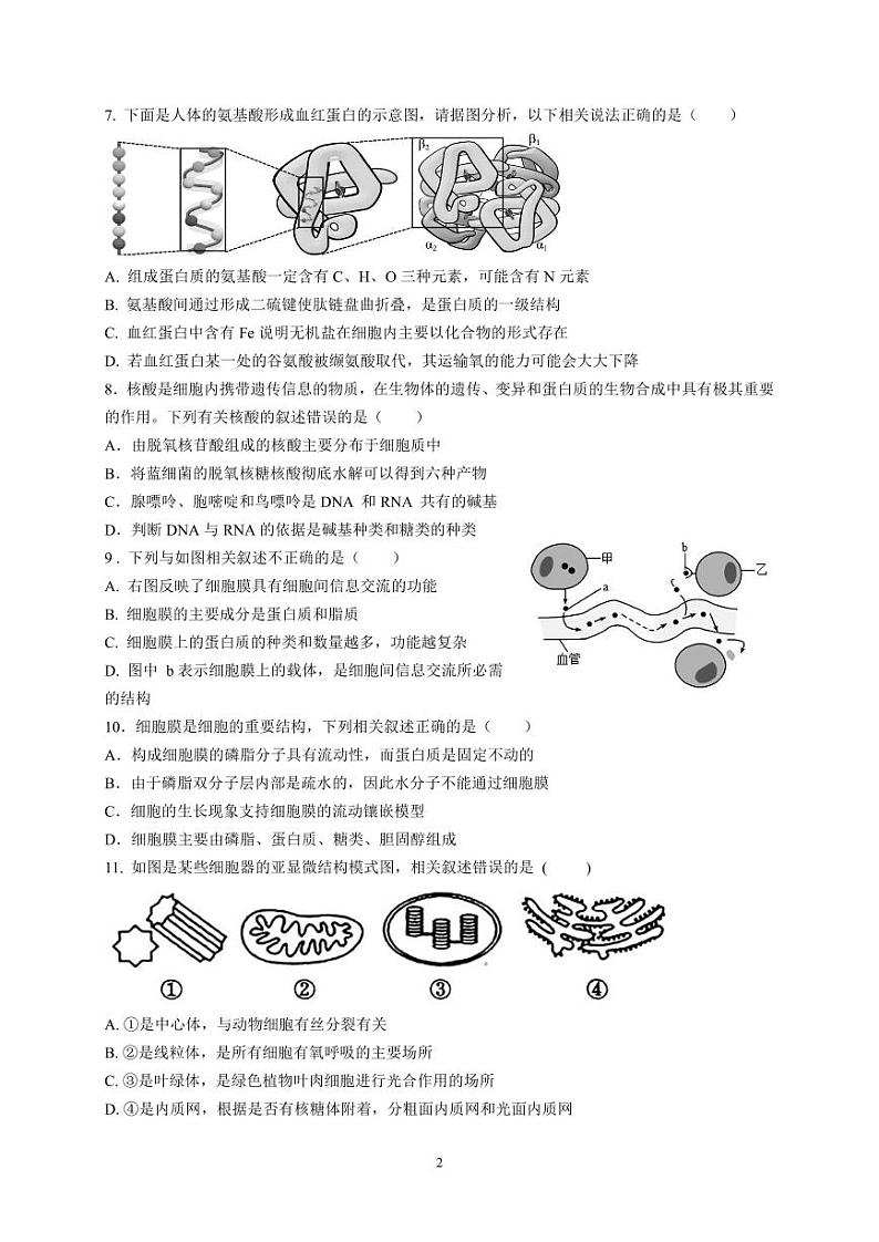 2024东莞四校高一上学期12月期中联考试题生物PDF版含答案（可编辑）第2页