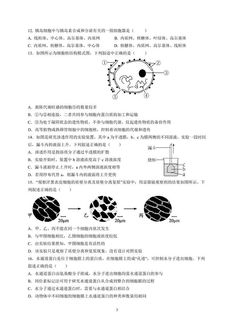 2024东莞四校高一上学期12月期中联考试题生物PDF版含答案（可编辑）第3页