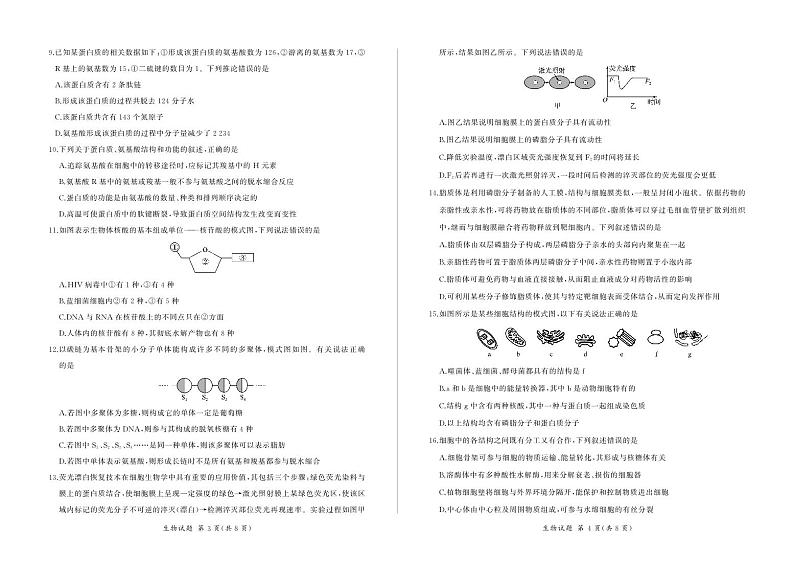 2024南阳部分学校高一上学期11月联考试题生物PDF版含答案02