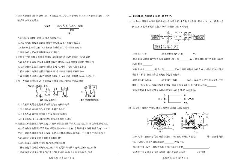 2024南阳部分学校高一上学期11月联考试题生物PDF版含答案03