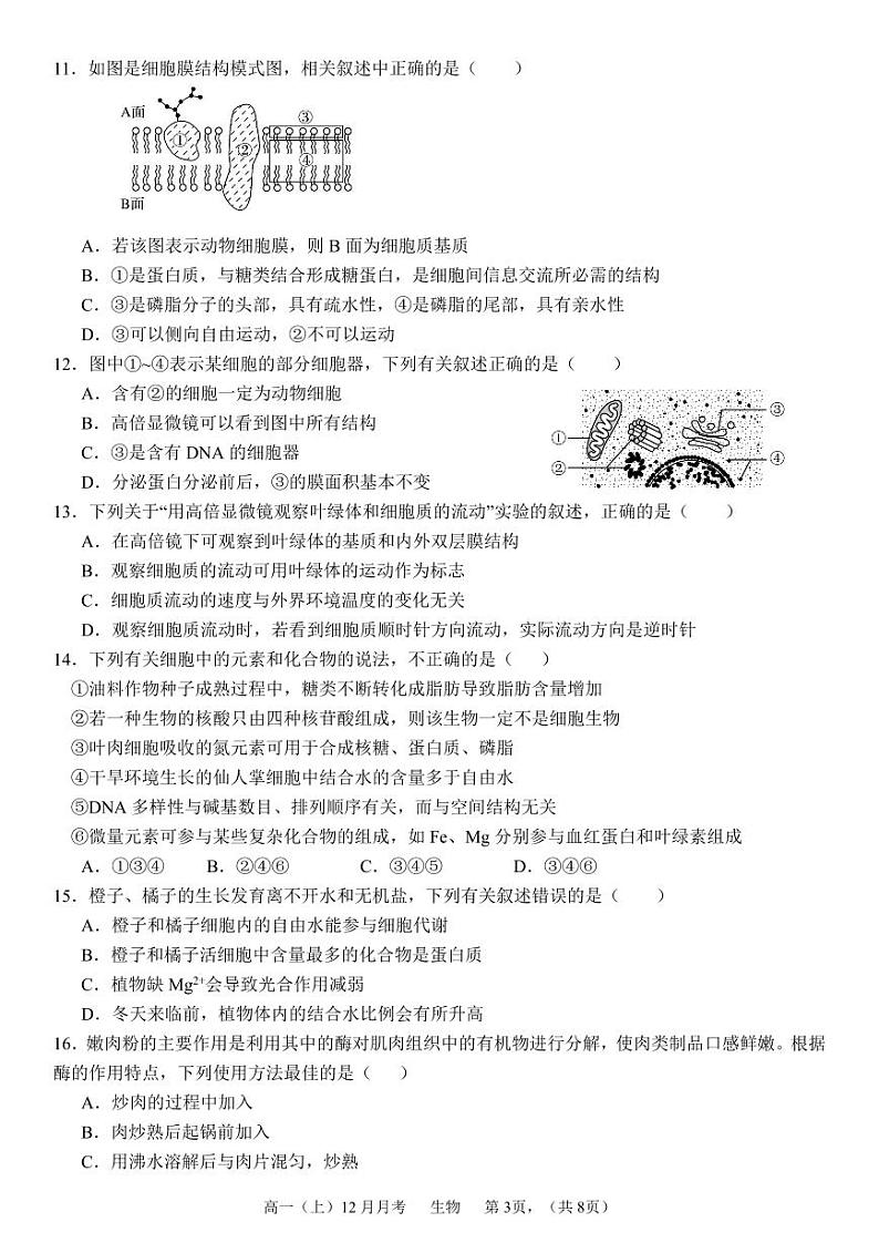 四川省成都市石室阳安中学2023-2024学年高一上学期12月月考生物试题03