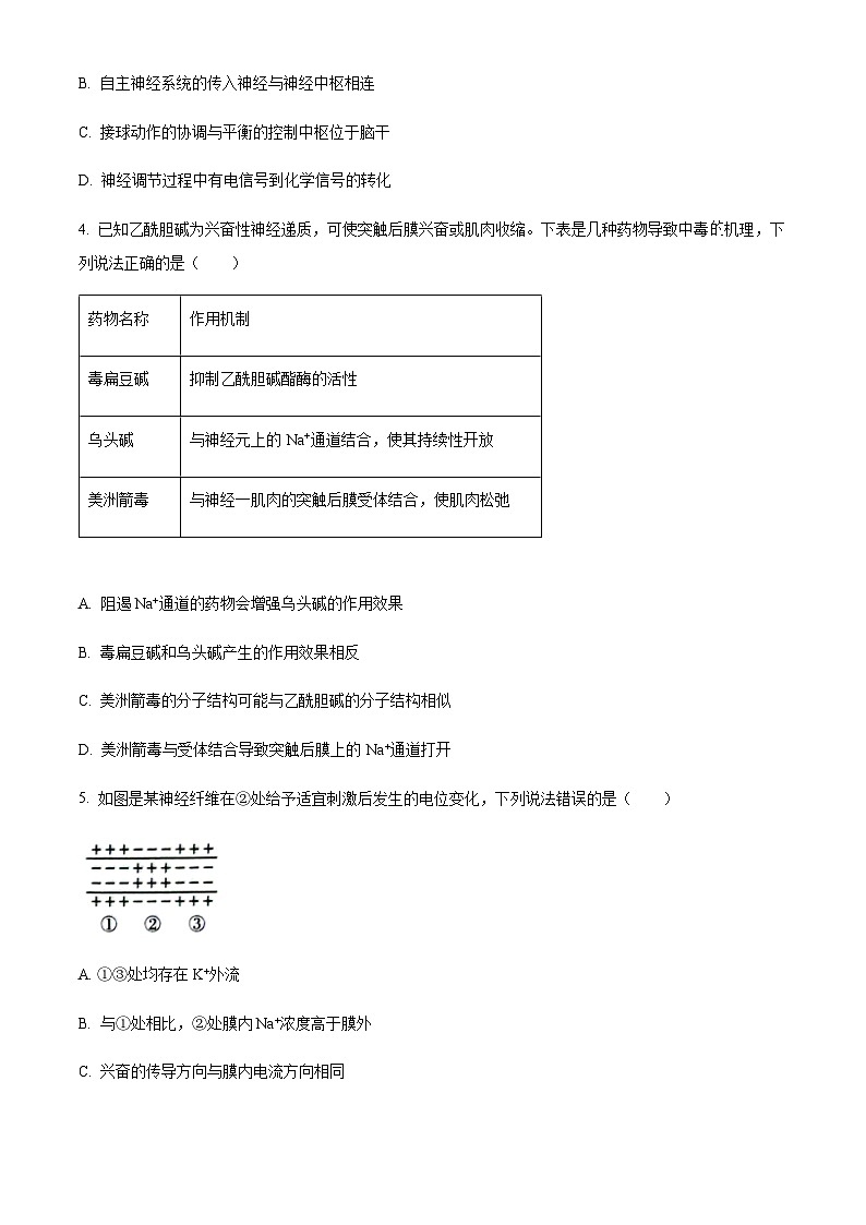 2023-2024学年安徽省六安一中皖豫联盟高二上学期期中联考生物试题含答案02