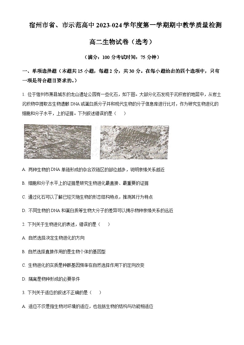 2023-2024学年安徽省宿州市一中省市示范高中高二上学期期中联考生物试题含答案01