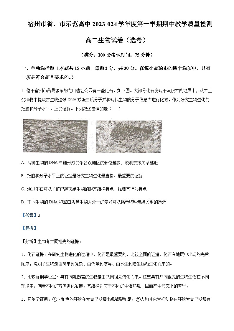 2023-2024学年安徽省宿州市一中省市示范高中高二上学期期中联考生物试题含答案01