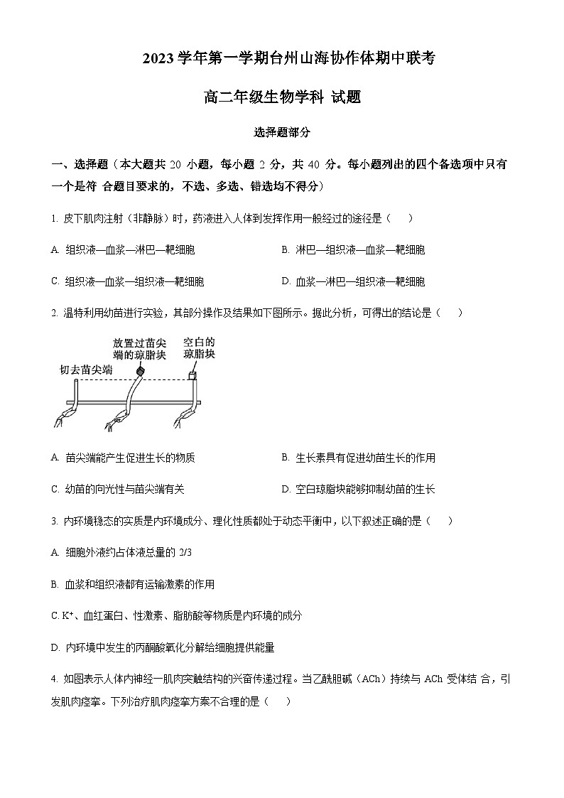 2023-2024学年浙江省嘉兴市桐乡市高级中学八校联盟高二上学期期中联考生物试题含答案01