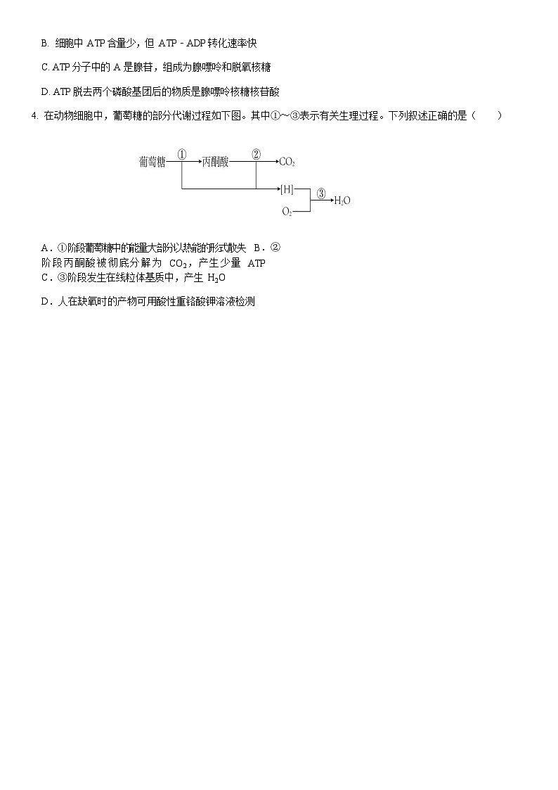 2023-2024学年浙江省余杭中学北斗联盟高二上学期期中联考试题生物试题含答案02