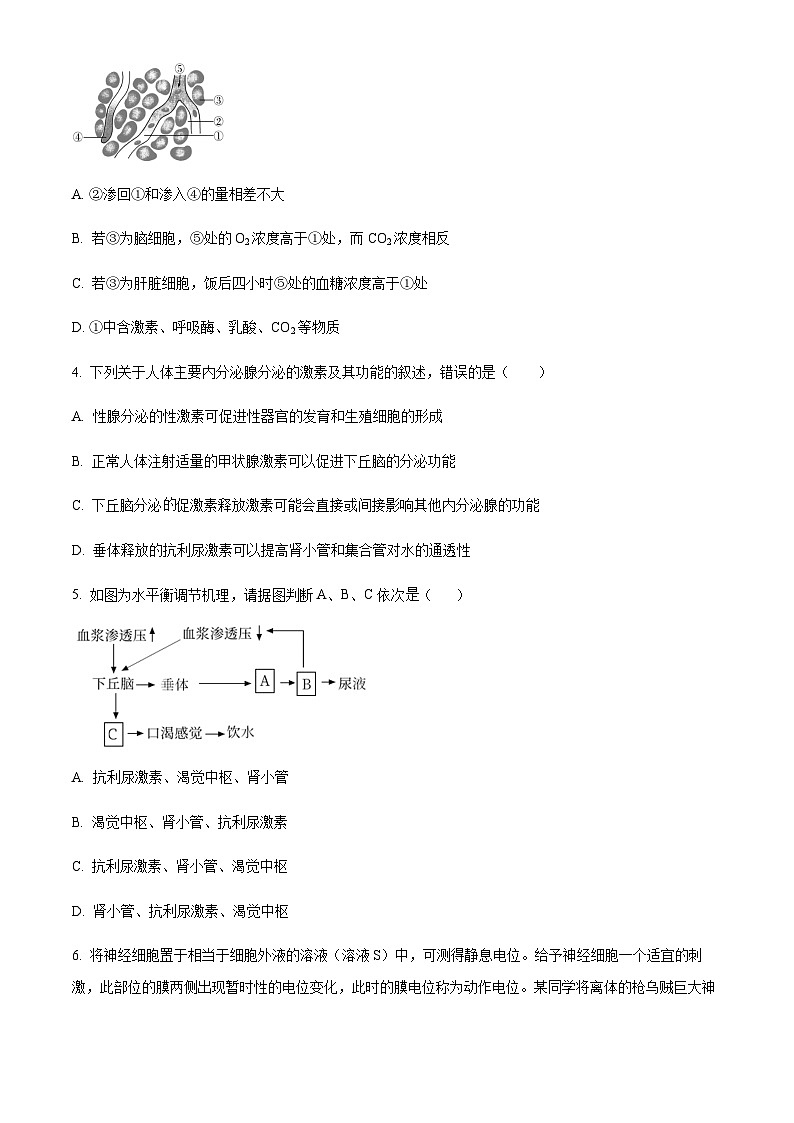 2023-2024学年北京市怀柔区重点学校高二上学期期中生物试题含答案02