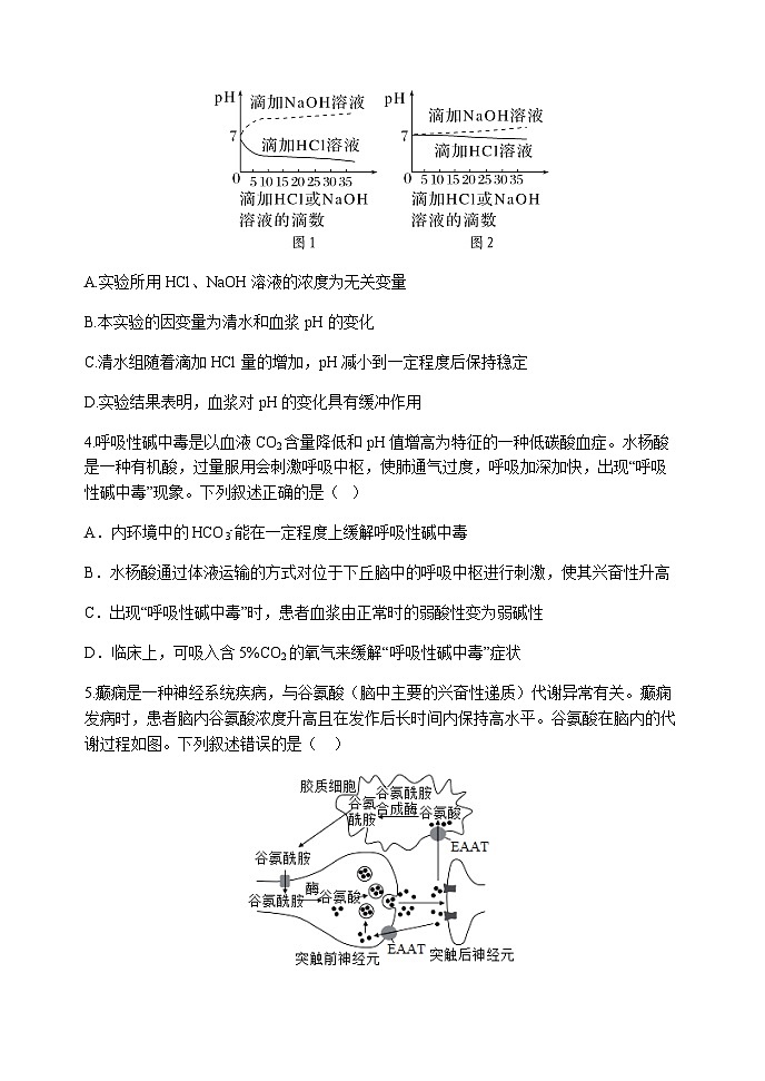 2023-2024学年河南省实验中学高二上学期期中考试生物试题含答案02