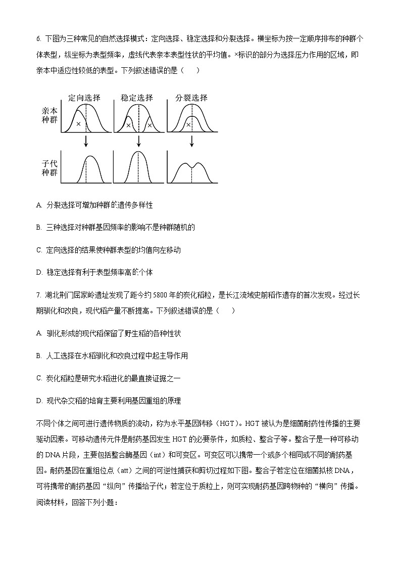 湖北省华中师范大学第一附属中学2023～2024 学年高二上学期期中生物试题  Word版无答案第3页