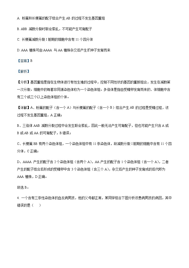 湖北省华中师范大学第一附属中学2023～2024 学年高二上学期期中生物试题  Word版含解析第3页
