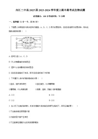 2023-2024学年四川省内江市第二中学高二上学期期中生物试题含答案