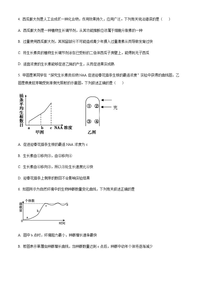 2023-2024学年四川省资阳市乐至中学高二上学期期中生物试题含答案02