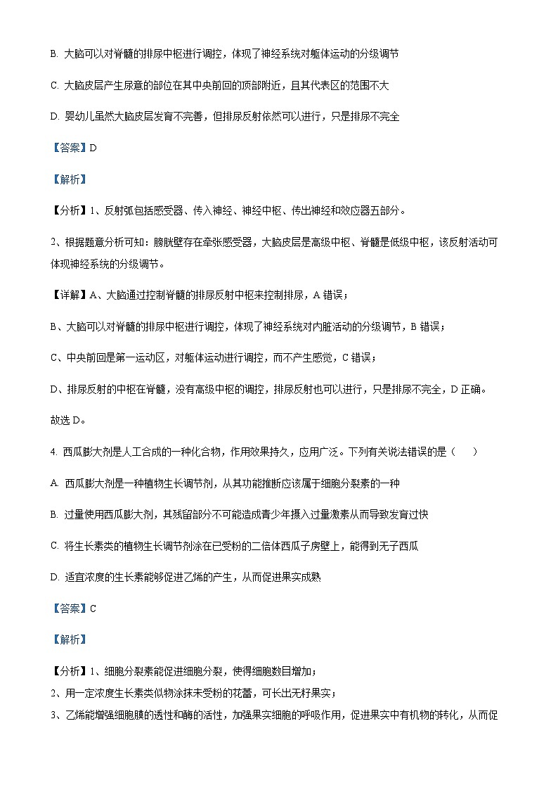 2023-2024学年四川省资阳市乐至中学高二上学期期中生物试题含答案03