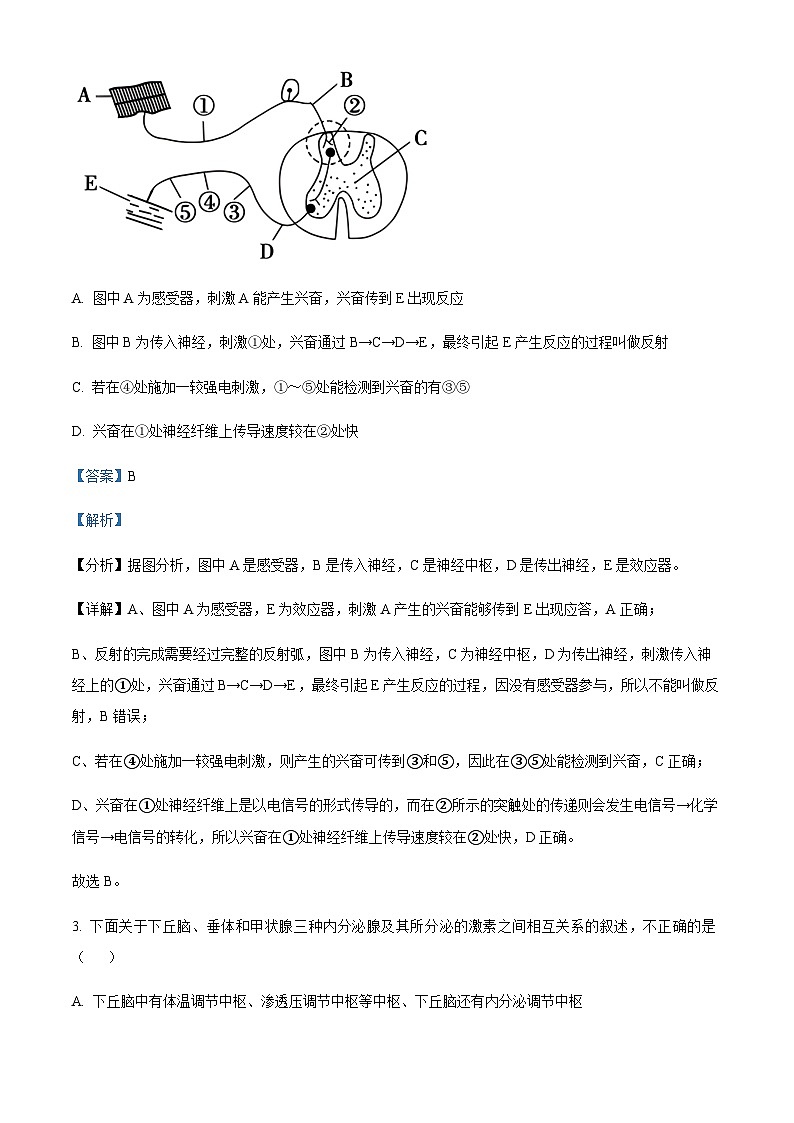 2023-2024学年新疆和田地区皮山县高级中学高二上学期期中生物试题含答案02