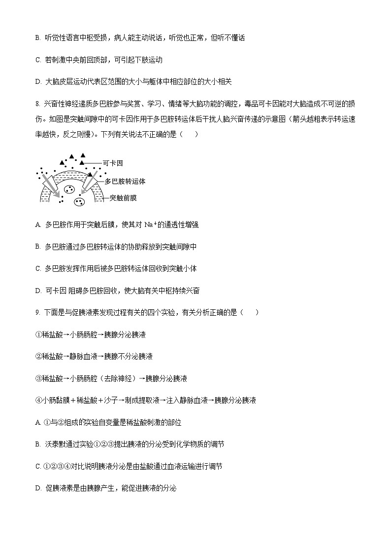 2023-2024学年重庆市荣昌中学高二上学期期中生物试题含答案03
