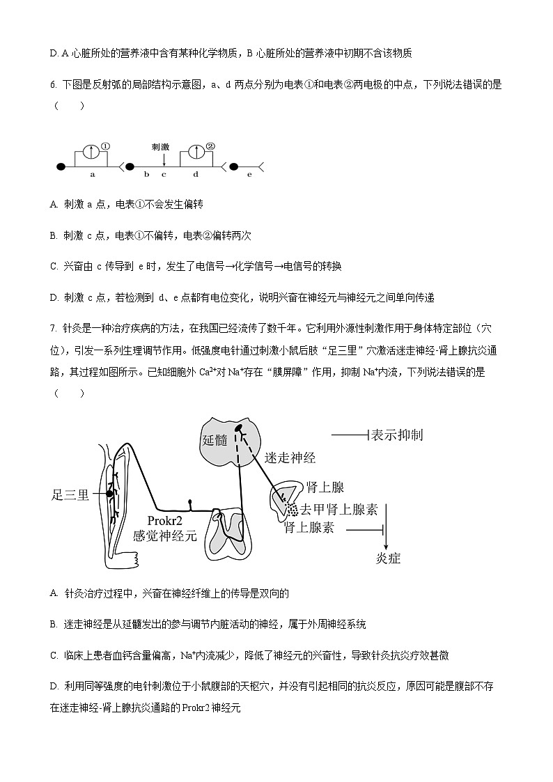 重庆市万州第二高级中学2023-2024学年高二上学期期中生物试题（原卷版）第3页