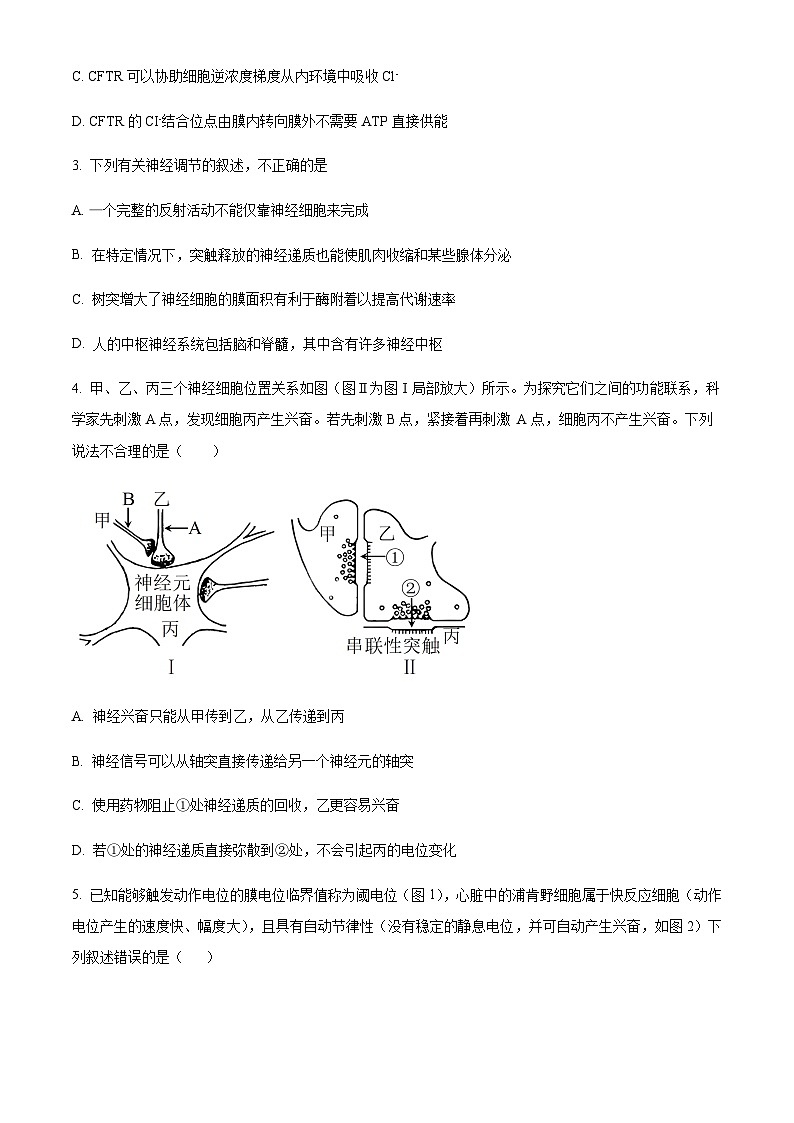 2023-2024学年湖北省孝感市高级中学高二上学期11月期中考试生物试题含答案02
