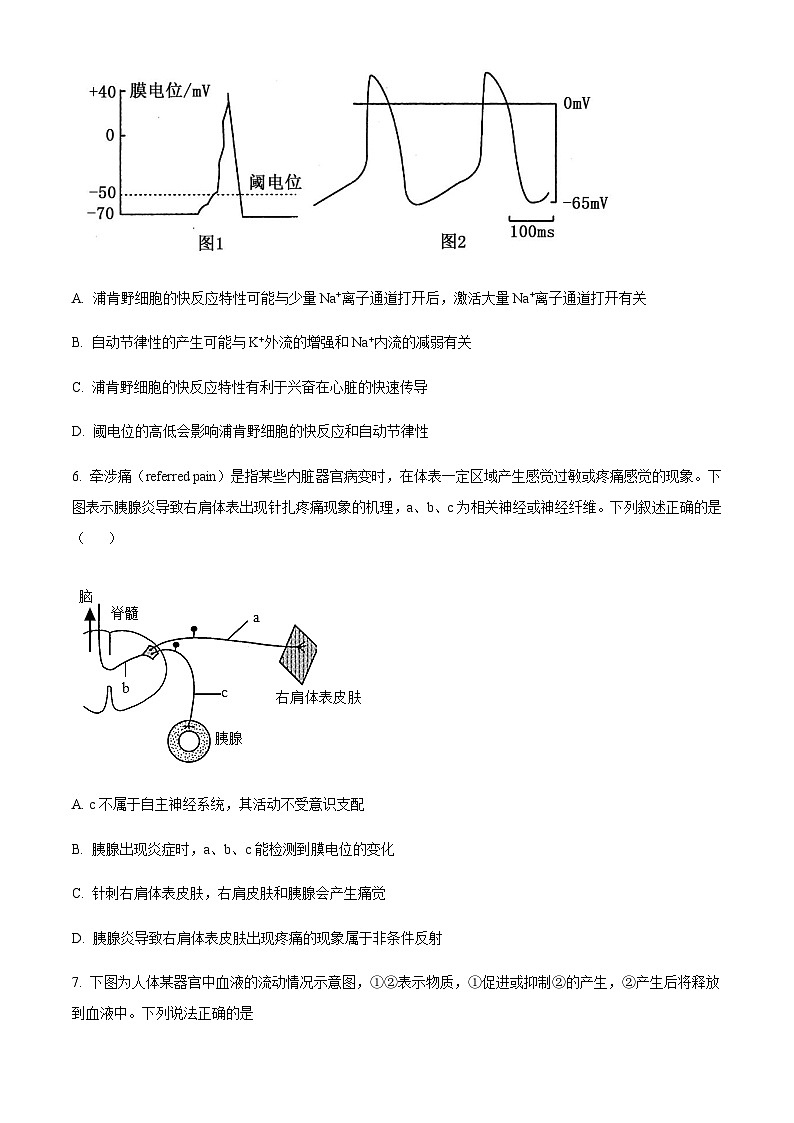 2023-2024学年湖北省孝感市高级中学高二上学期11月期中考试生物试题含答案03