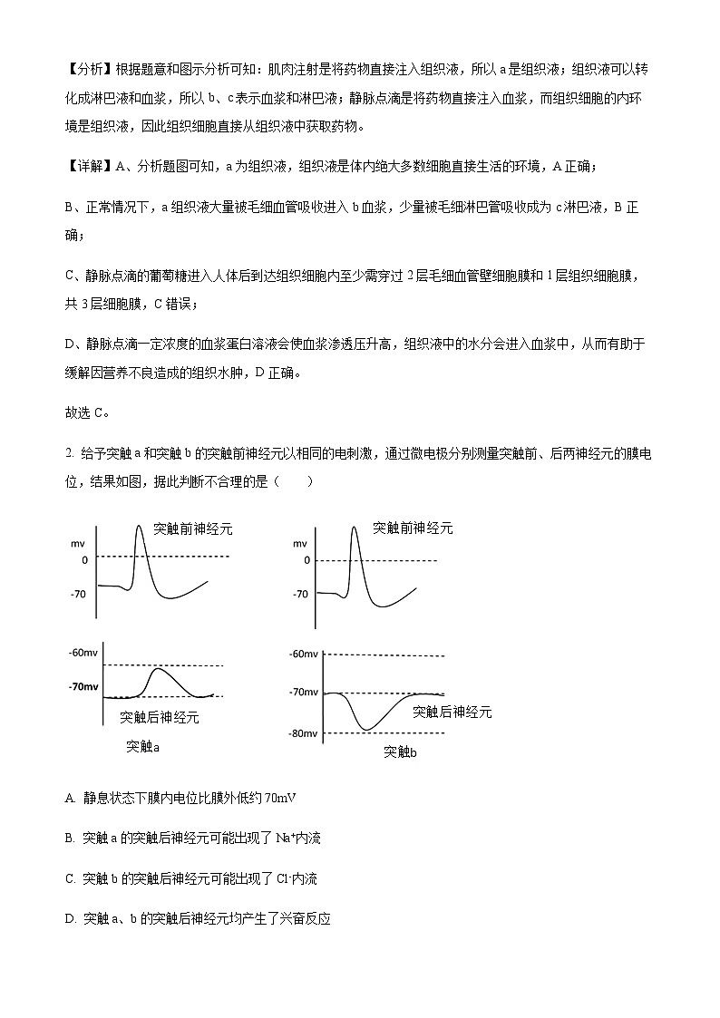 2023-2024学年江苏省扬州中学高二上学期11月期中生物试题含答案02