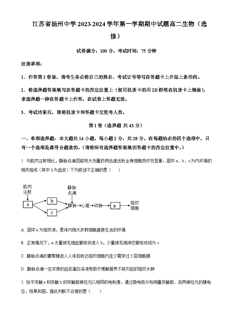 2023-2024学年江苏省扬州中学高二上学期11月期中生物试题含答案01