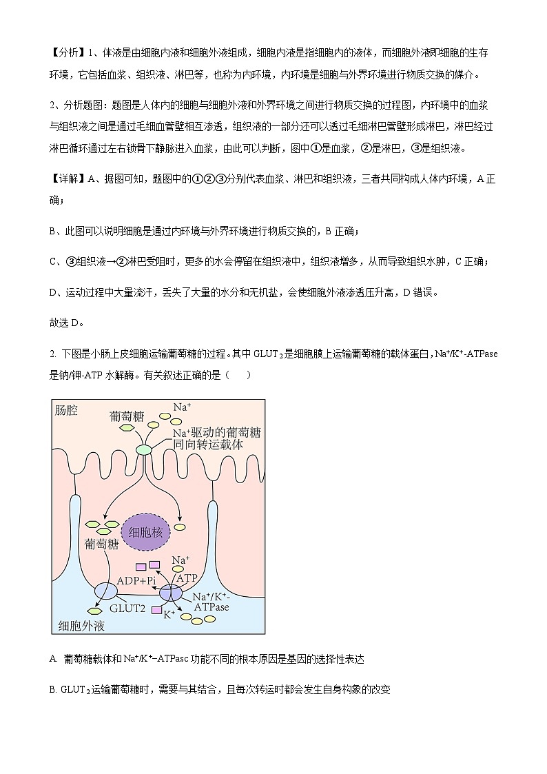 生物答案第2页